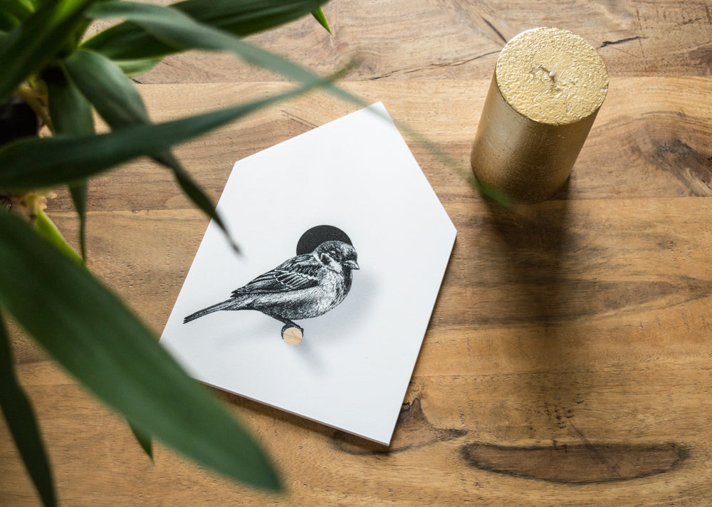 Vogelhäuschen Spatz