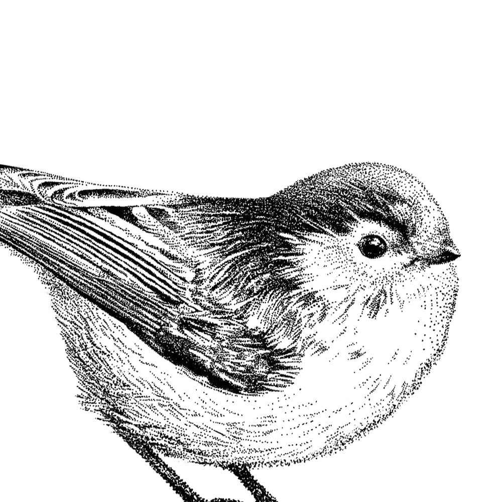 Wandtattoo Schwanzmeise