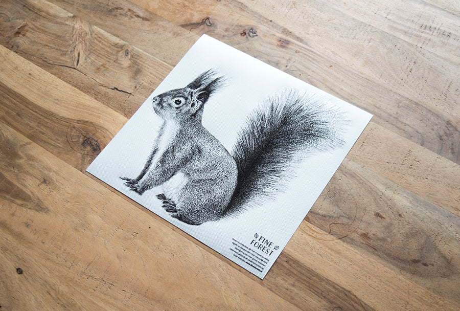 Wandtattoo Eichhörnchen