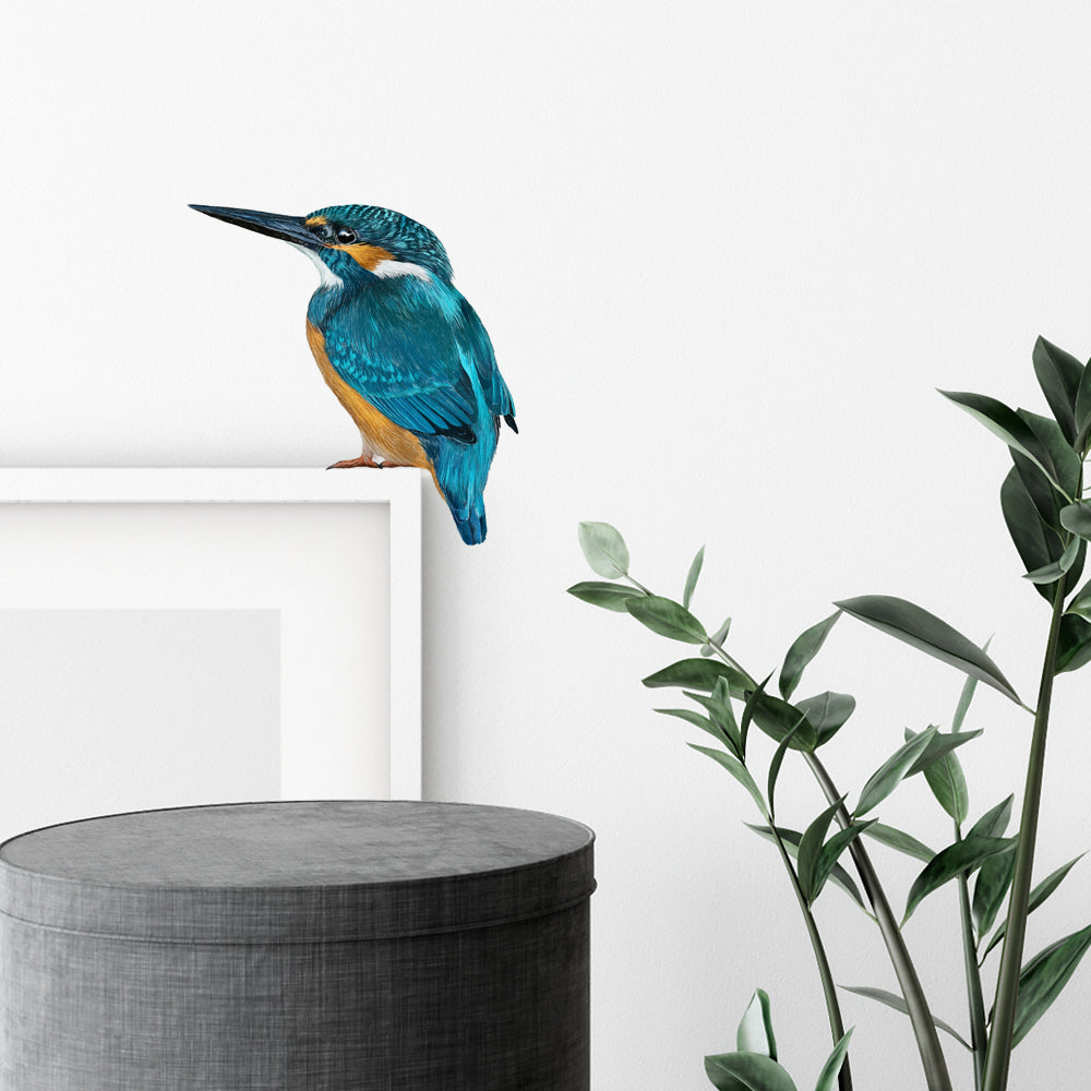 Wandtattoo „Eisvogel“ (farbig)