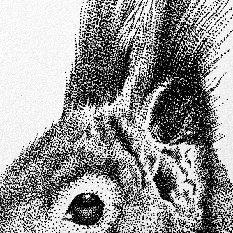 Wandtattoo Eichhörnchen