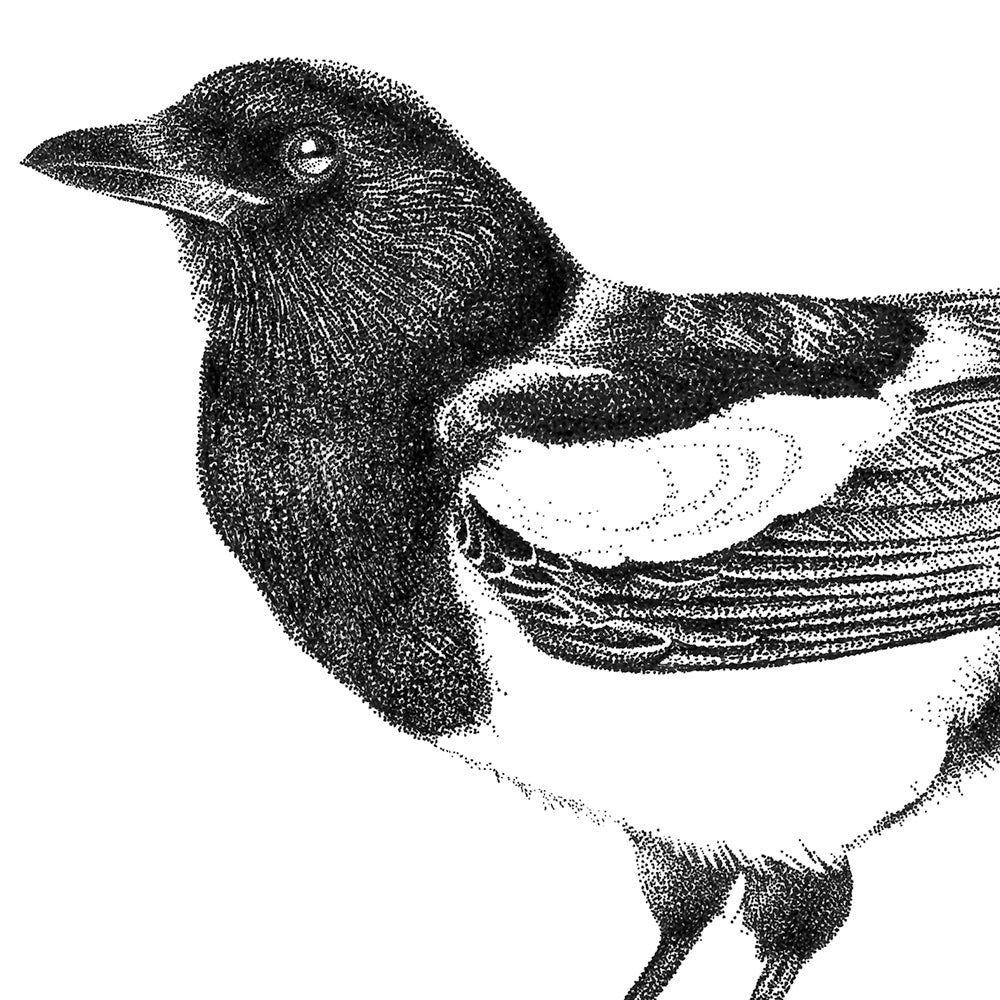 Elster Wandtattoo Set