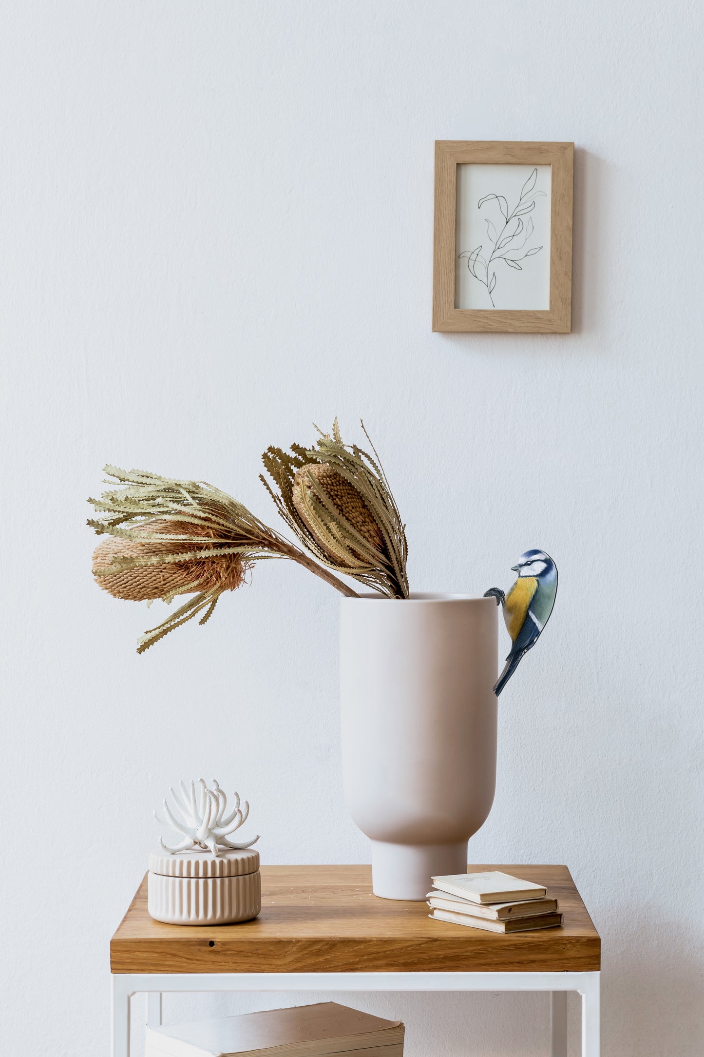 Blumentopfhänger für Blaumeise