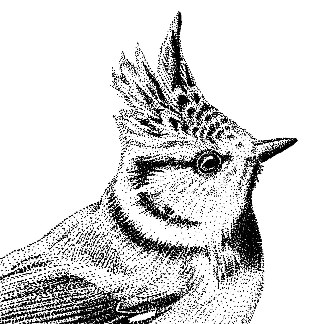 Crested tit wall sticker