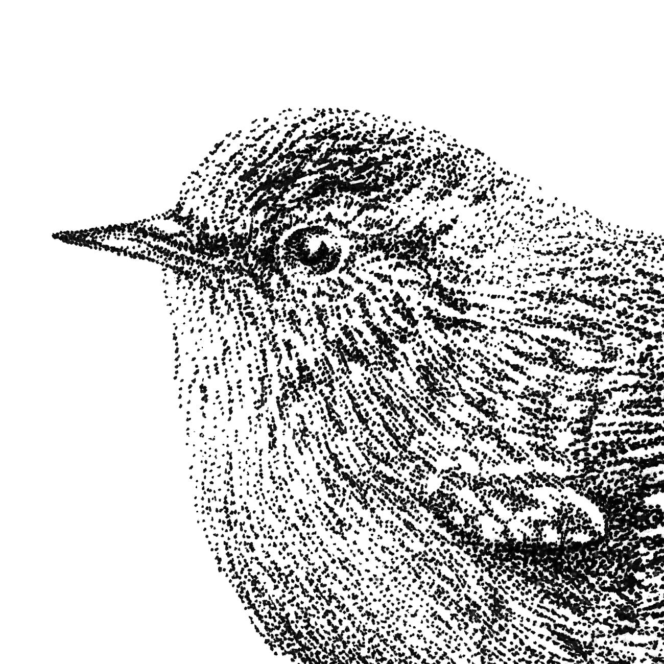 Haubenmeise & Zaunkönig Wandtattoo-Set