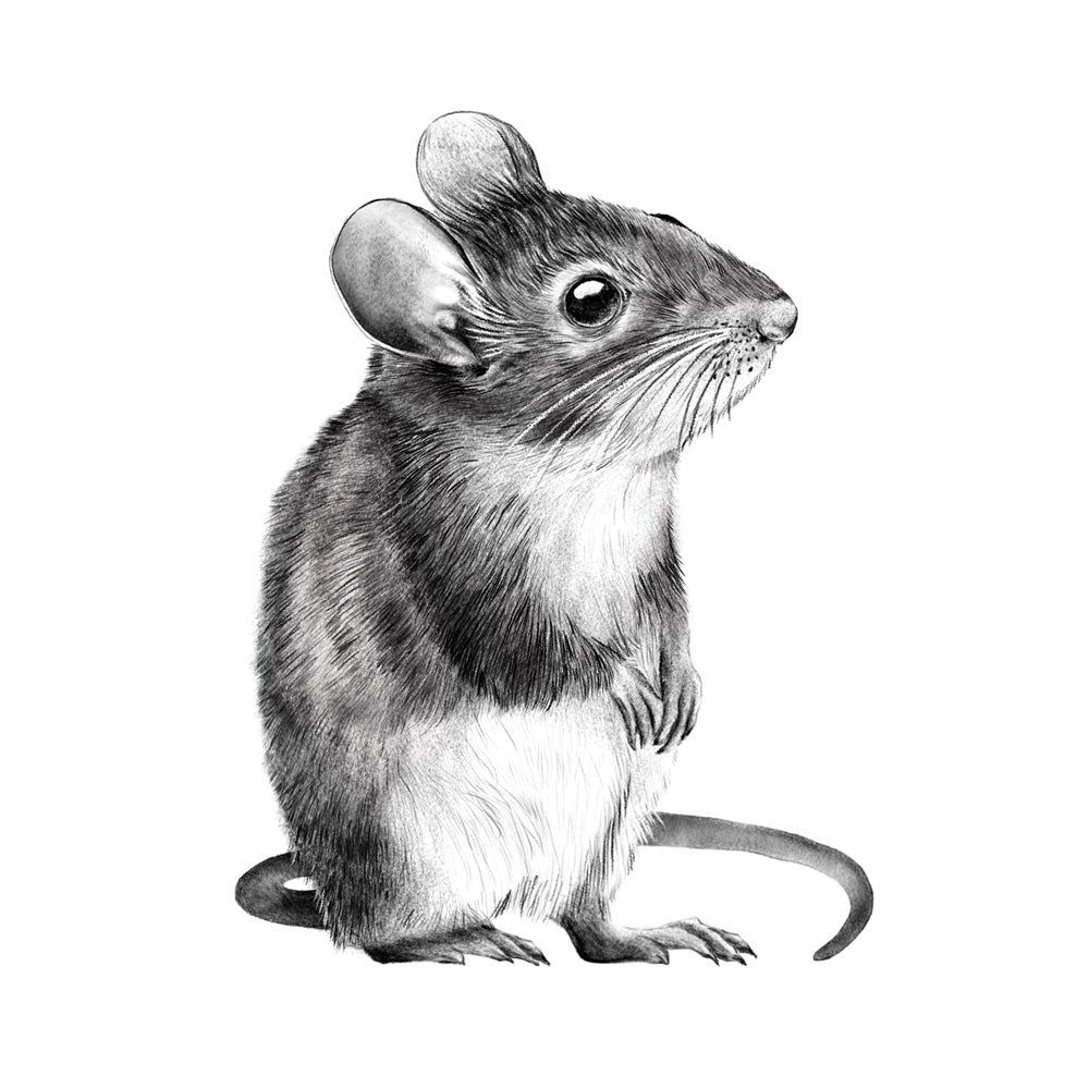 Wood mouse wall sticker #2