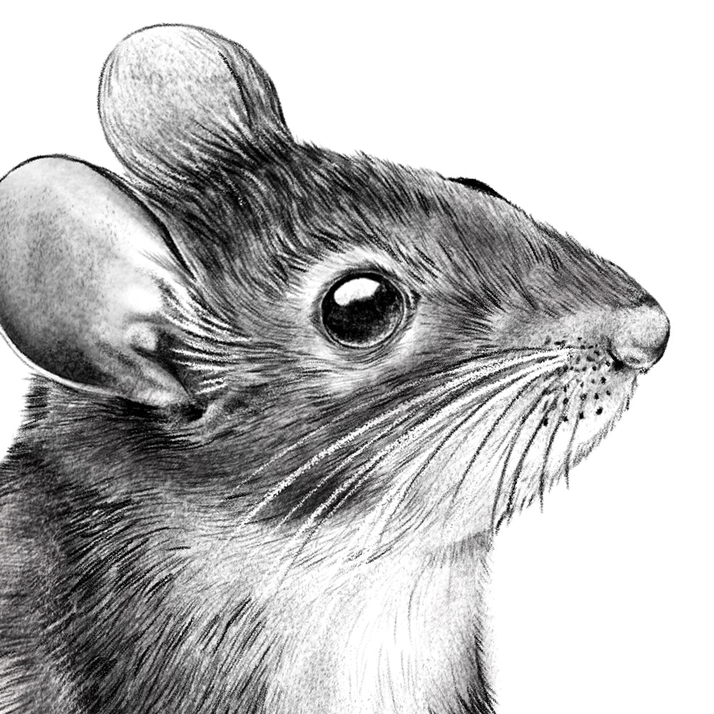 Wood mouse wall sticker #2