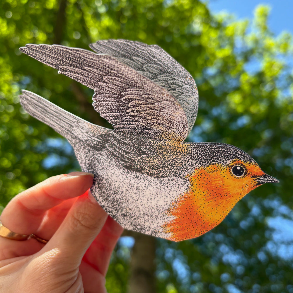 3D robin card