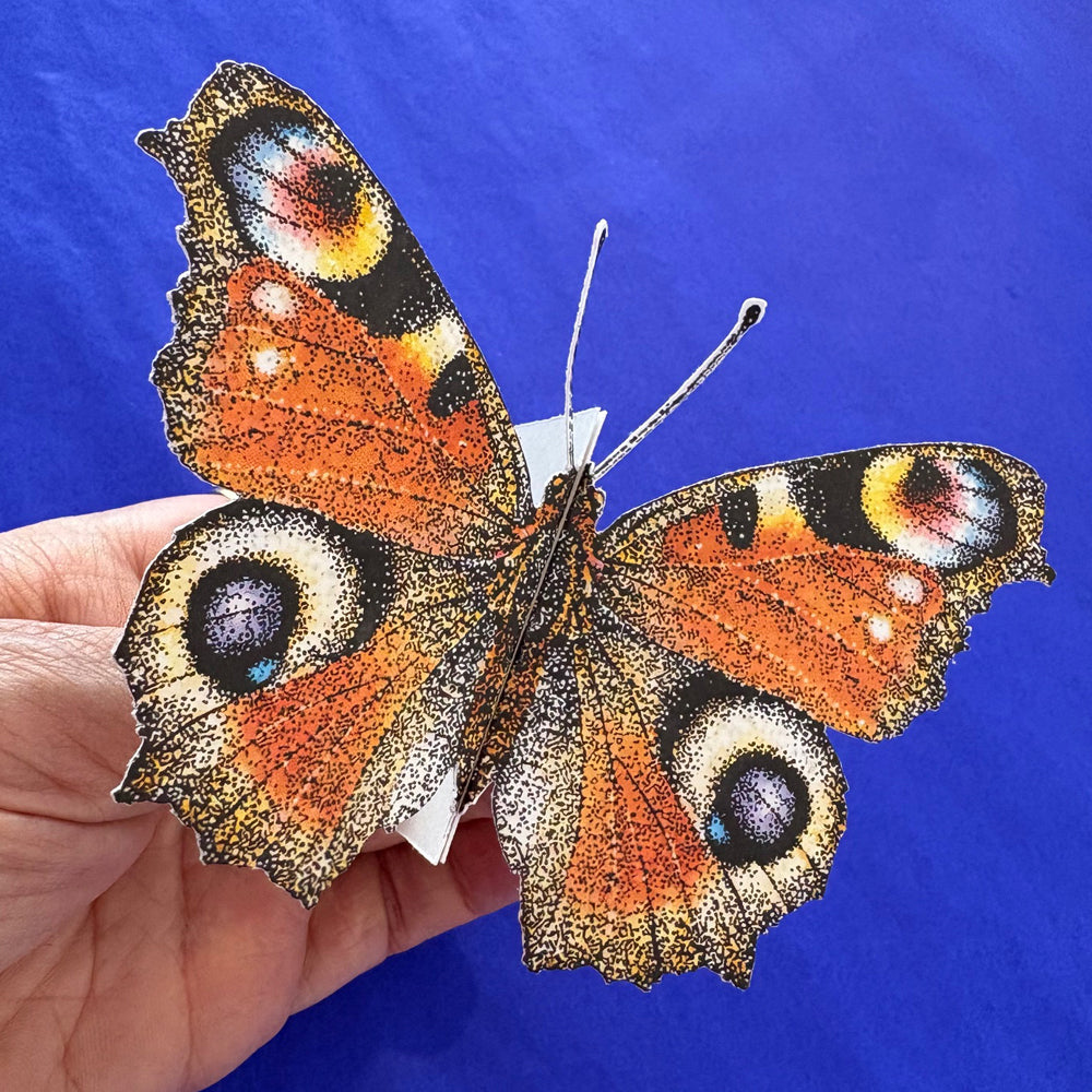 Butterfly card