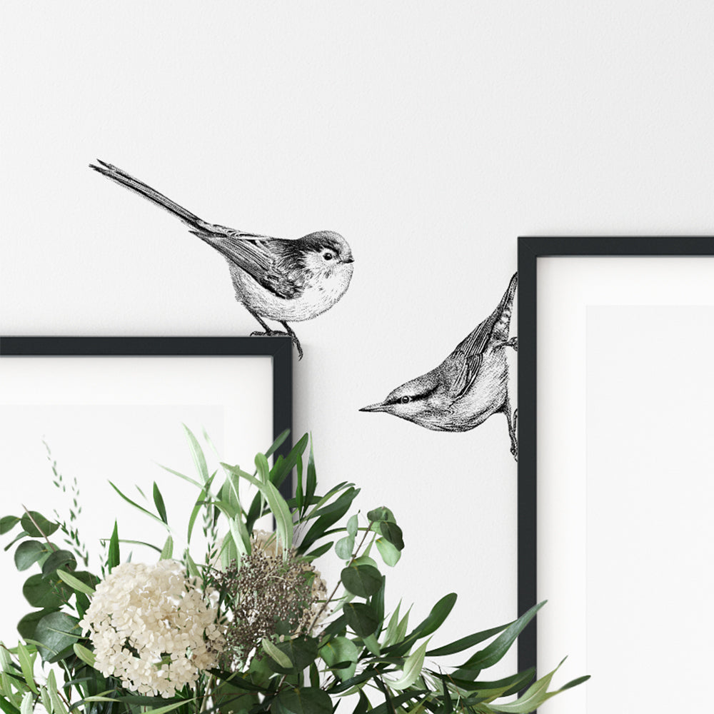 Nuthatch & long-tailed tit wall sticker set