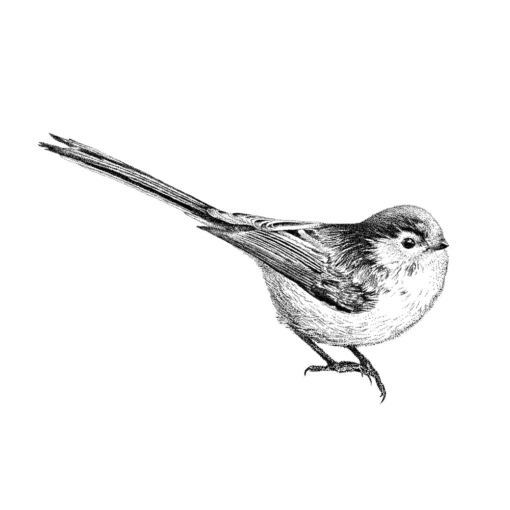 Long-tailed tit wall sticker