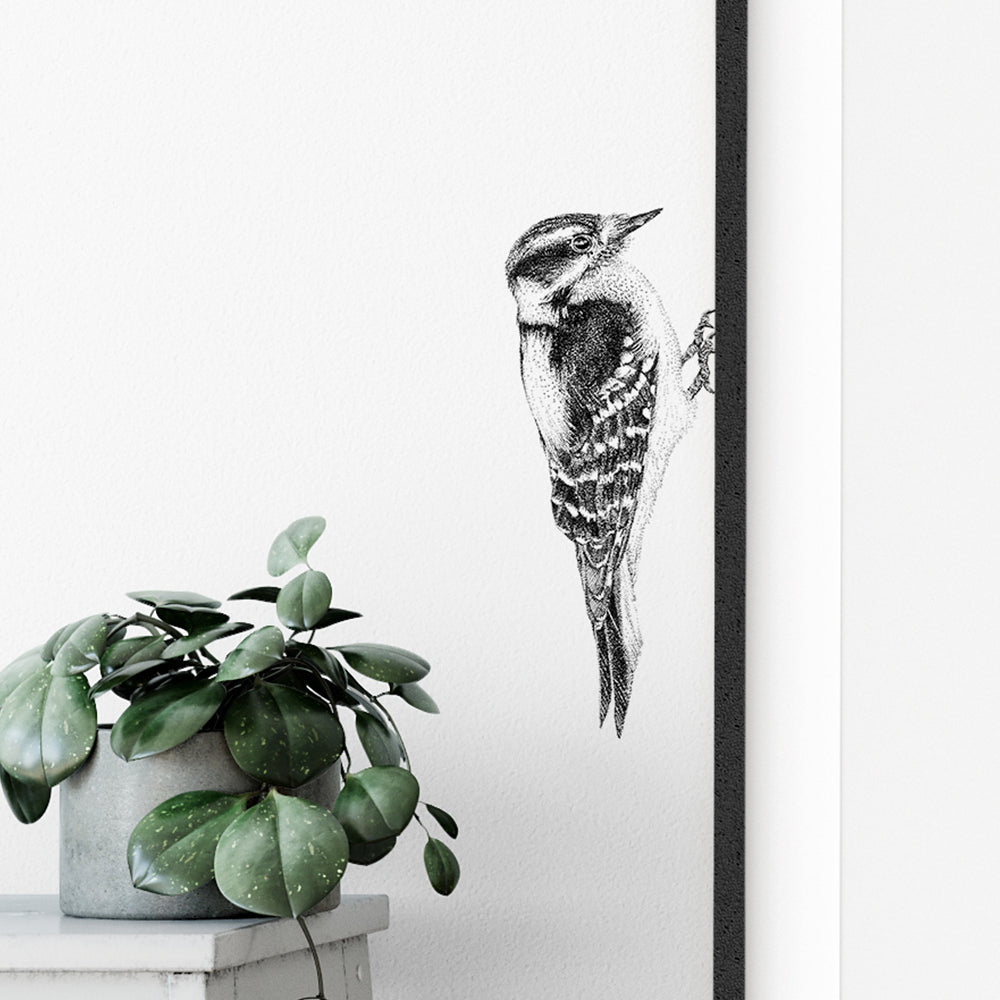 Woodpecker wall sticker