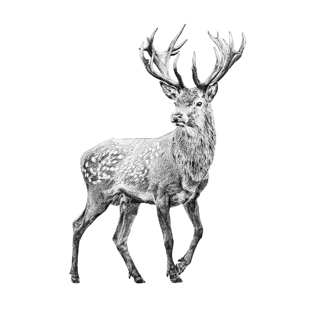 Deer wall sticker