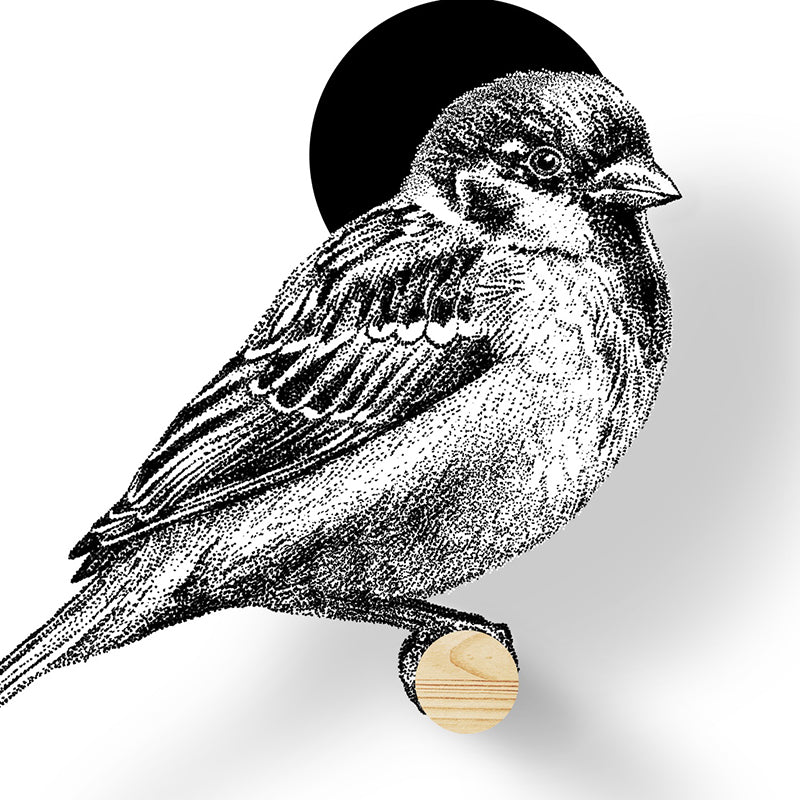 Birdhouse sparrow