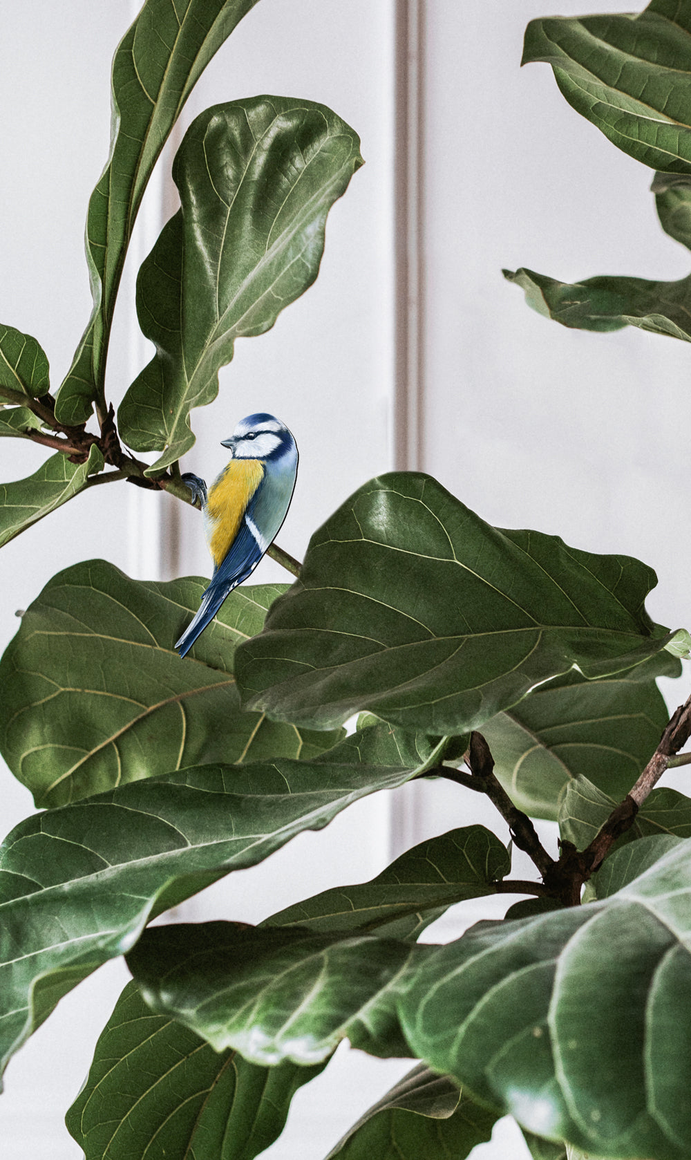 Blue tit plant pot hanger