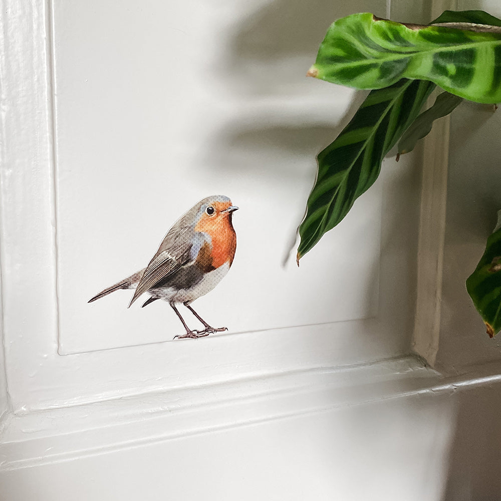 Red robin wall sticker (colour)