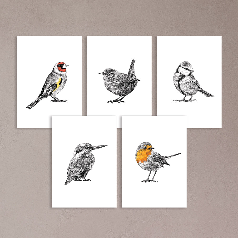 Bird prints