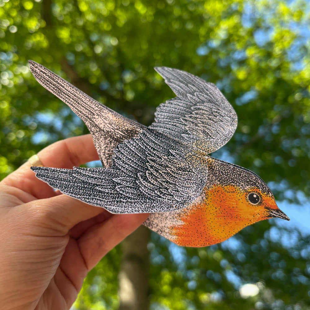 3D robin card