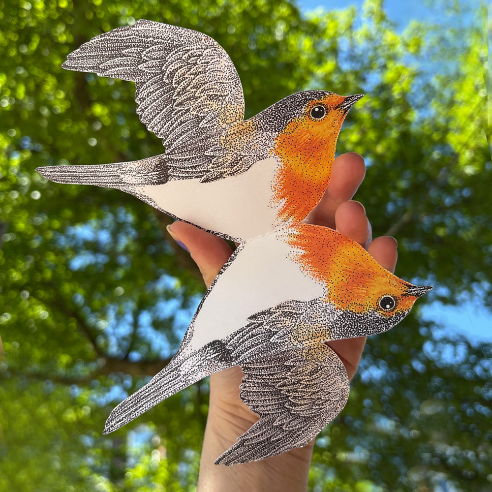 3D robin card