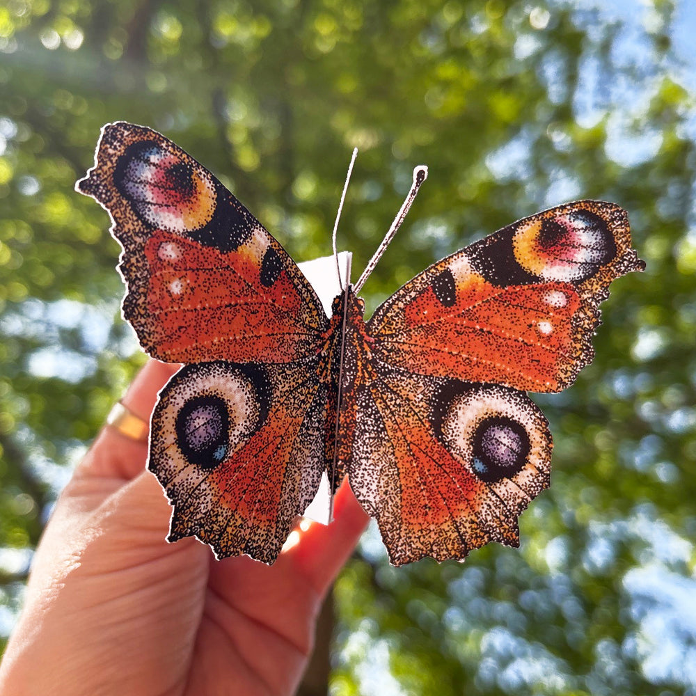 Butterfly card