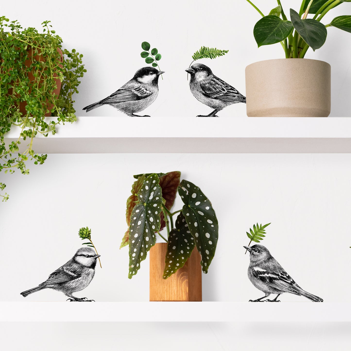 Bird wall sticker set