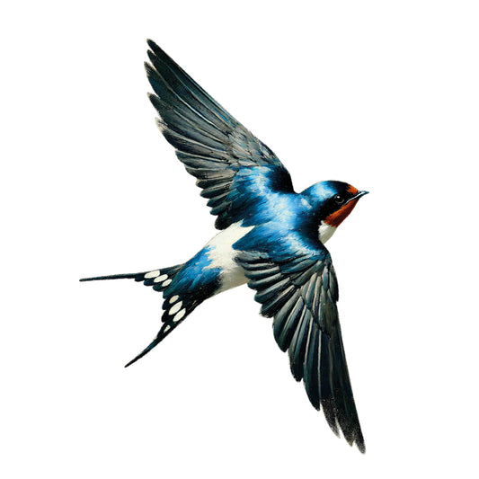 Swallow wall sticker